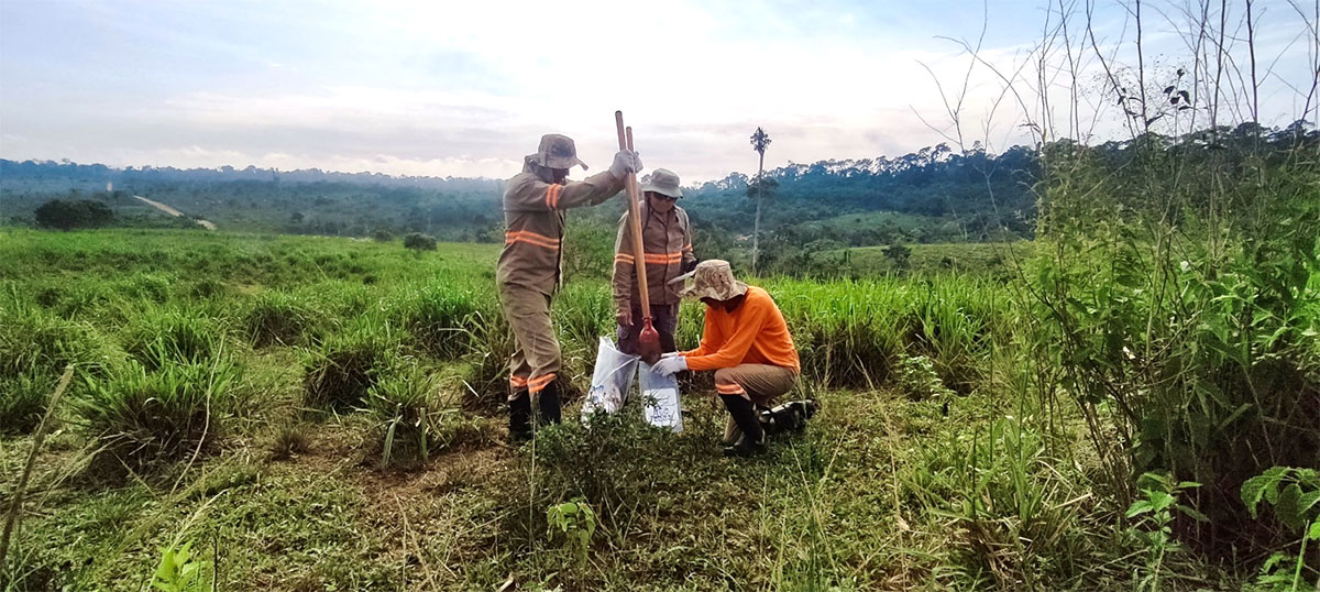 Figure 3 – Exploration teams at work on the São Jorge Project, 2023